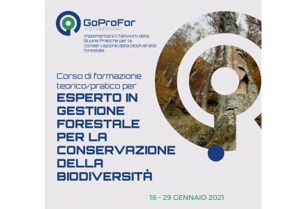 LIVELLO 1 Corso di formazione teorico/pratico per ESPERTO IN GESTIONE FORESTALE PER LA CONSERVAZIONE DELLA BIODIVERSITA'